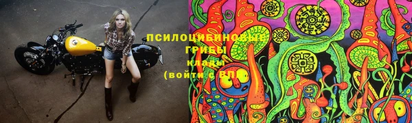 гидропоника Абдулино