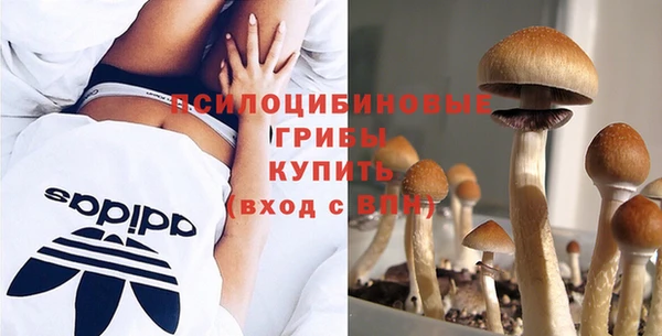 гидропоника Абдулино