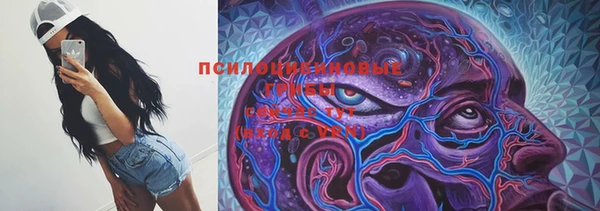 гидропоника Абдулино