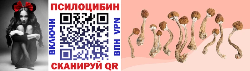Псилоцибиновые грибы ЛСД  продажа наркотиков  Астрахань 